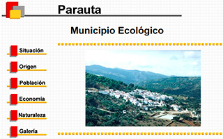 Web Informativa de Parauta