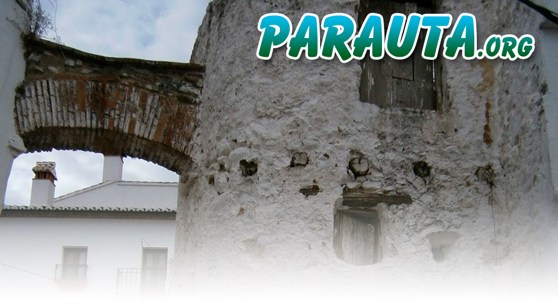 Parauta